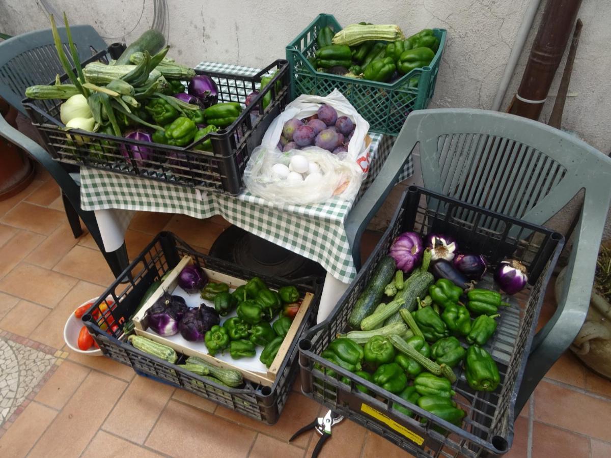 La Bottega Del Fabbro Affitto Breve Villa Contigliano Ngoại thất bức ảnh